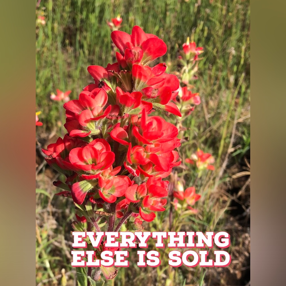 Thanks for stopping by! 💖 Everything is SOLD beyond here!